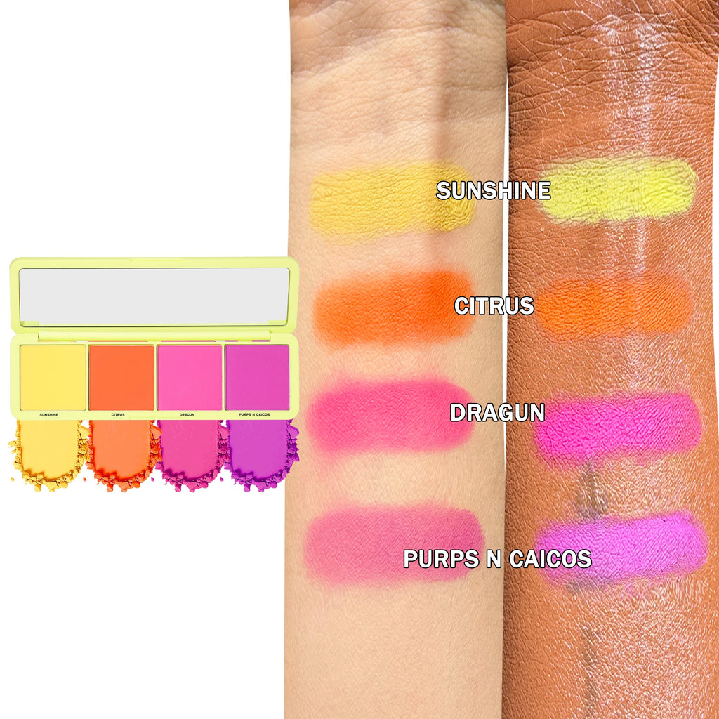 Colour Is Back Full Bundle