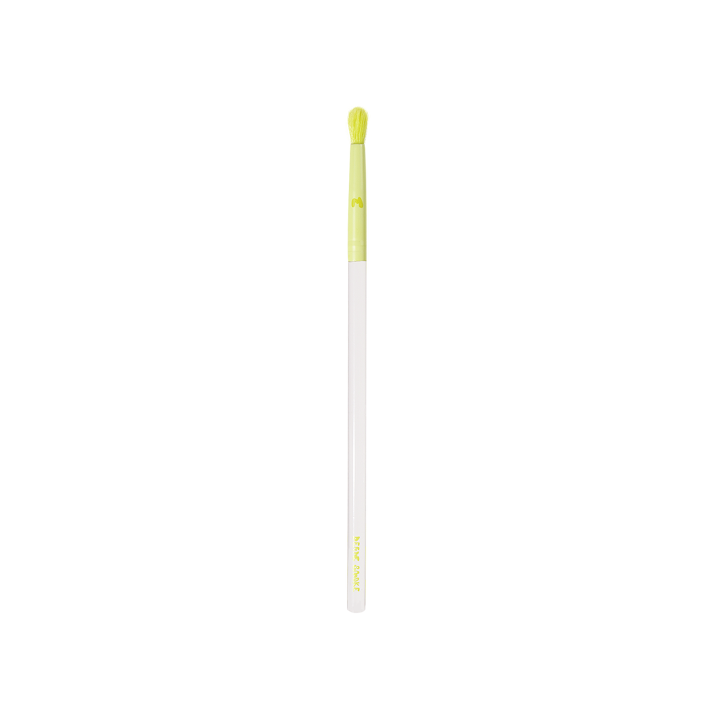 Pro Face & Eye Brush Collection