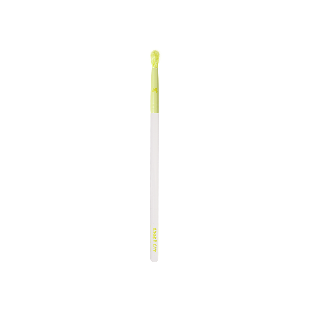 Pro Face & Eye Brush Collection