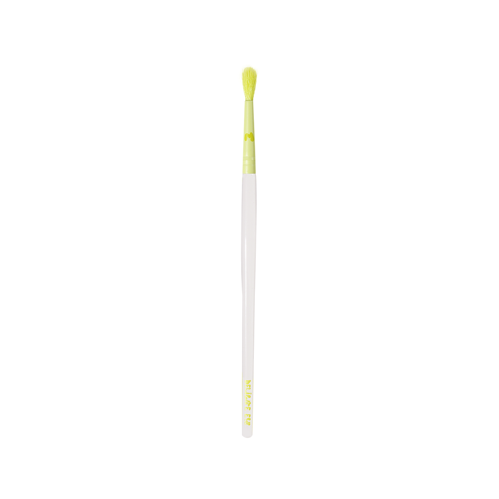 Pro Face & Eye Brush Collection