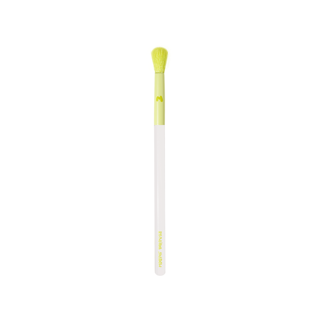 Pro Face & Eye Brush Collection