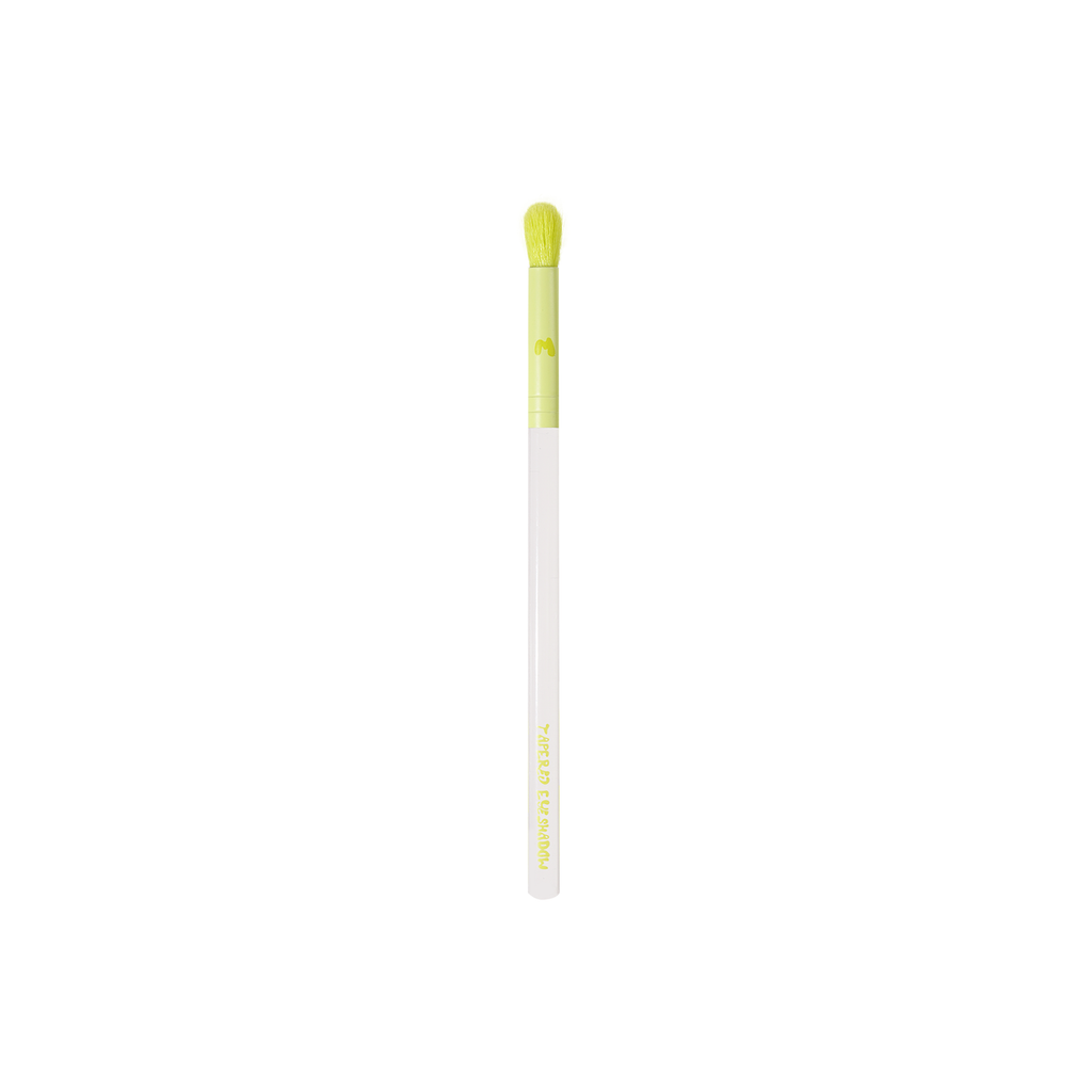 Pro Face & Eye Brush Collection