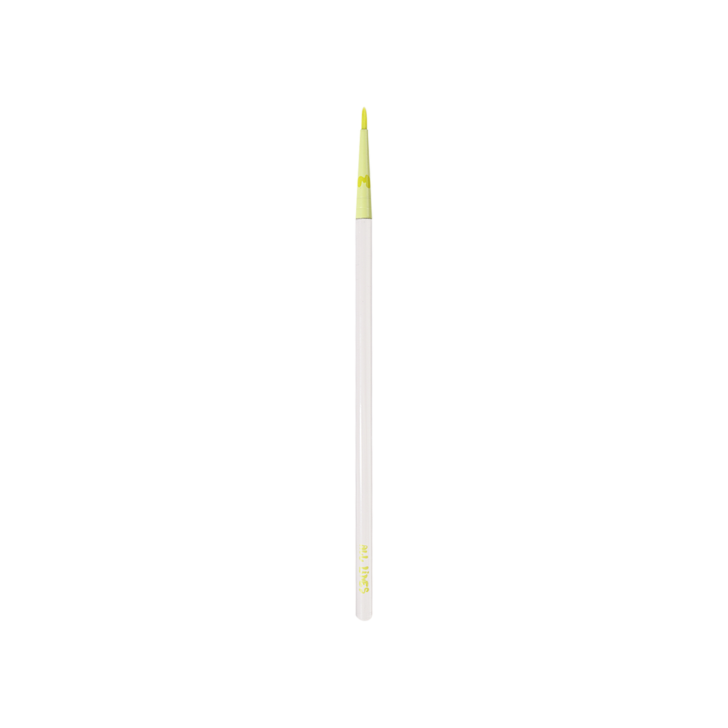 Pro Face & Eye Brush Collection