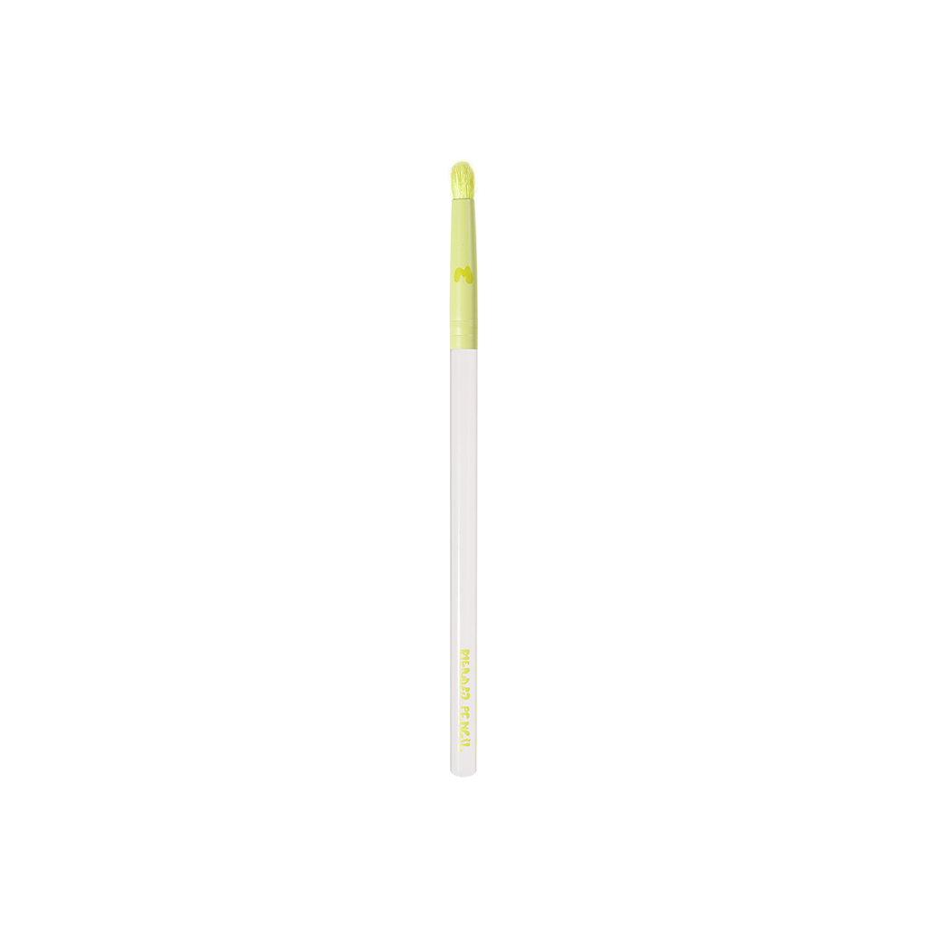 Pro Face & Eye Brush Collection