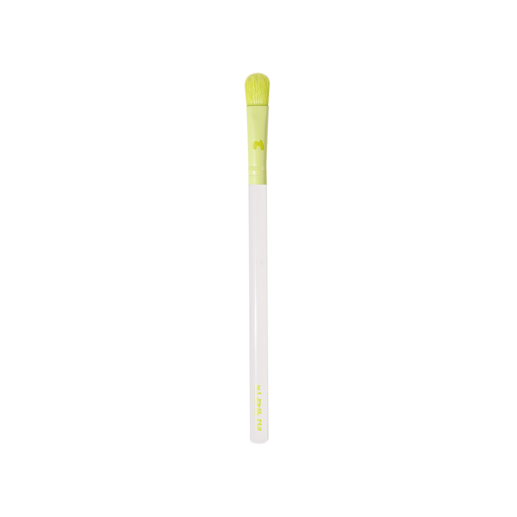 Pro Face & Eye Brush Collection