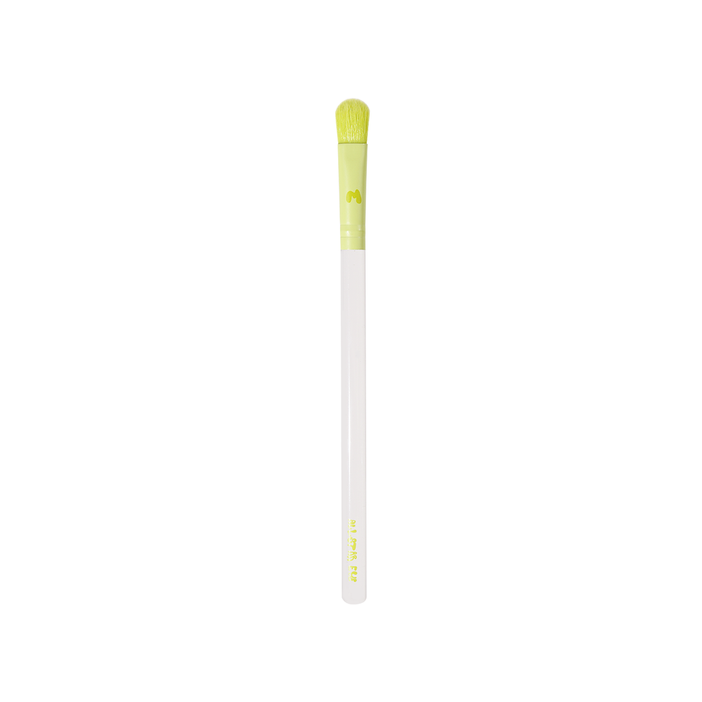 Pro Face & Eye Brush Collection