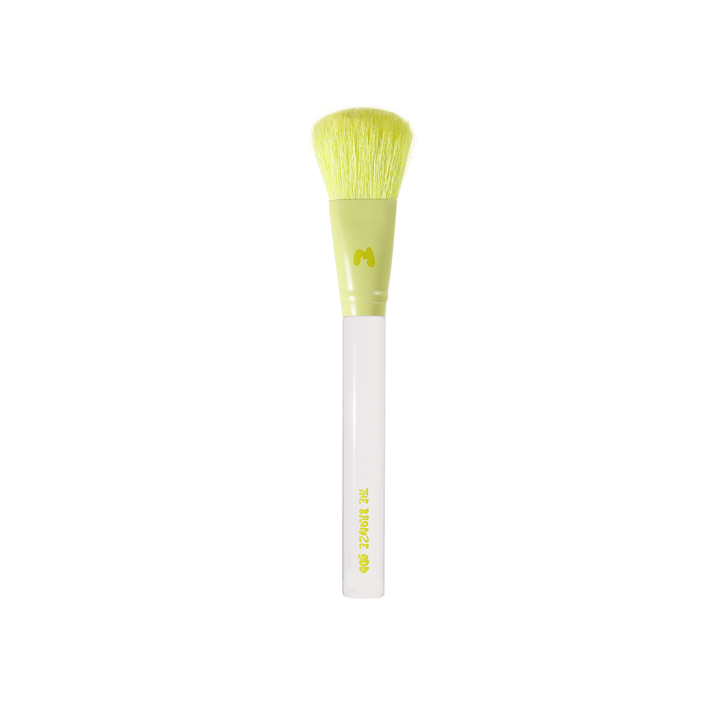 Pro Face & Eye Brush Collection