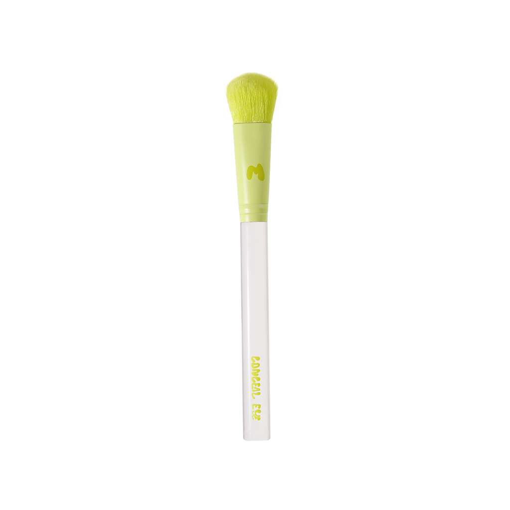 Pro Face & Eye Brush Collection