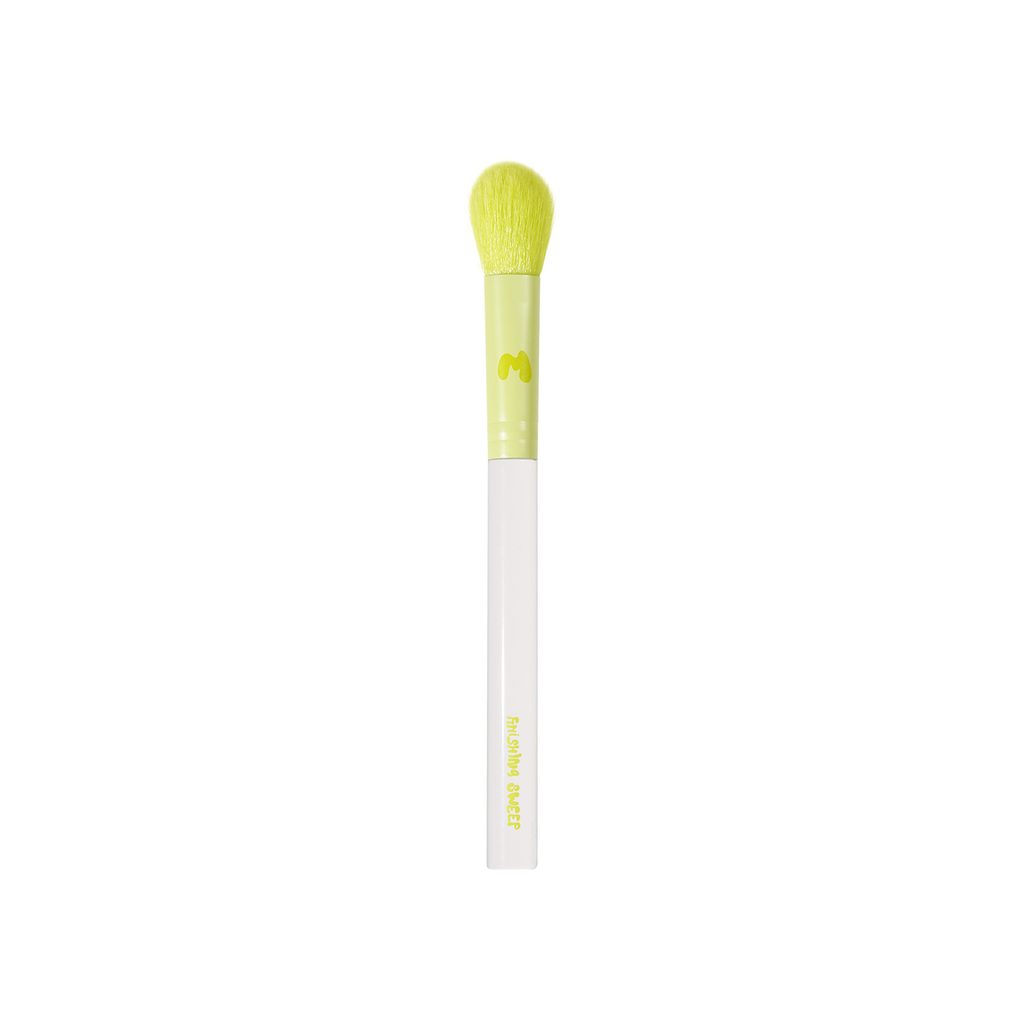 Pro Face & Eye Brush Collection