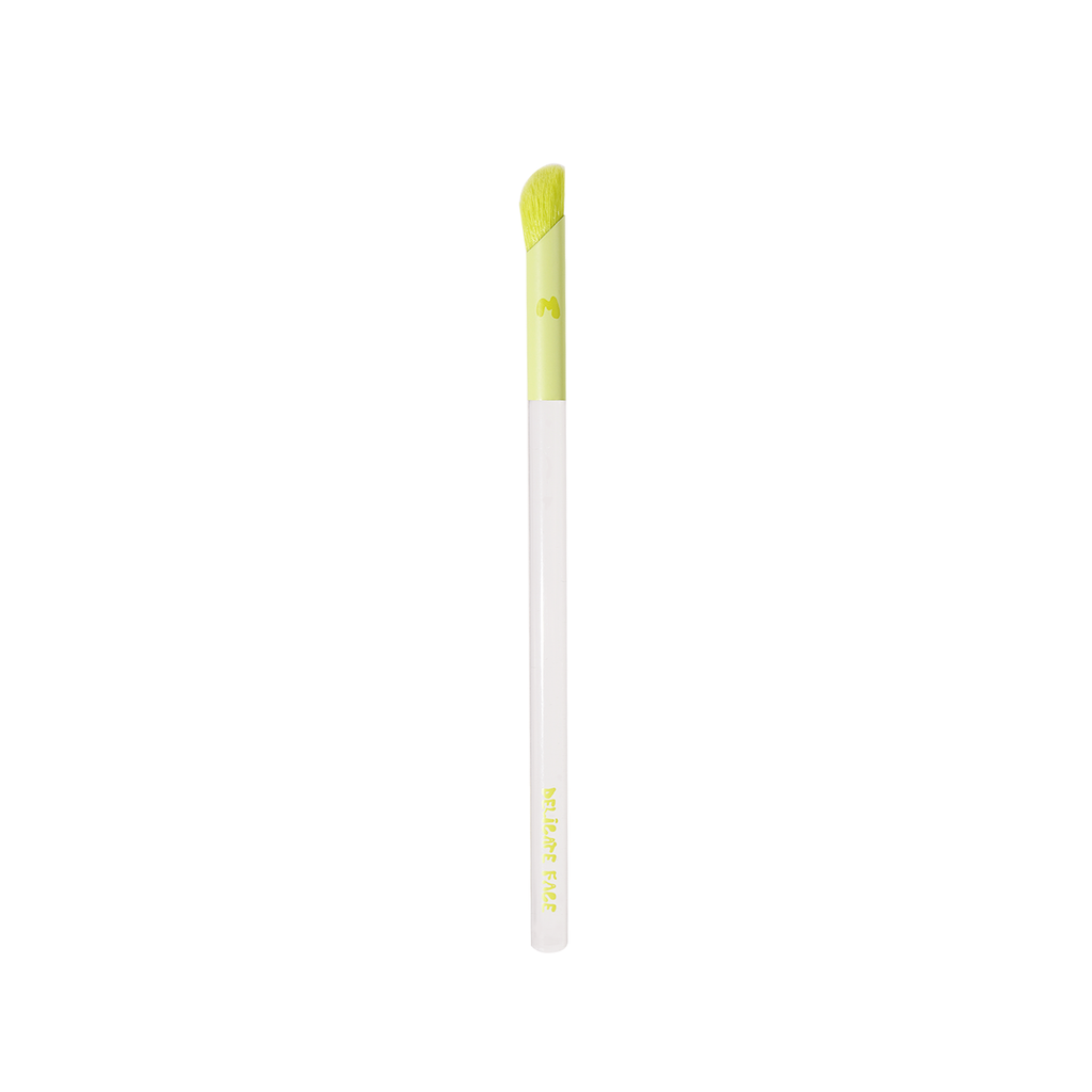 Pro Face & Eye Brush Collection