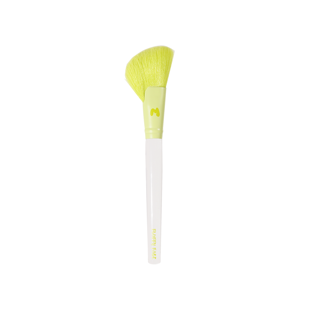Pro Face & Eye Brush Collection