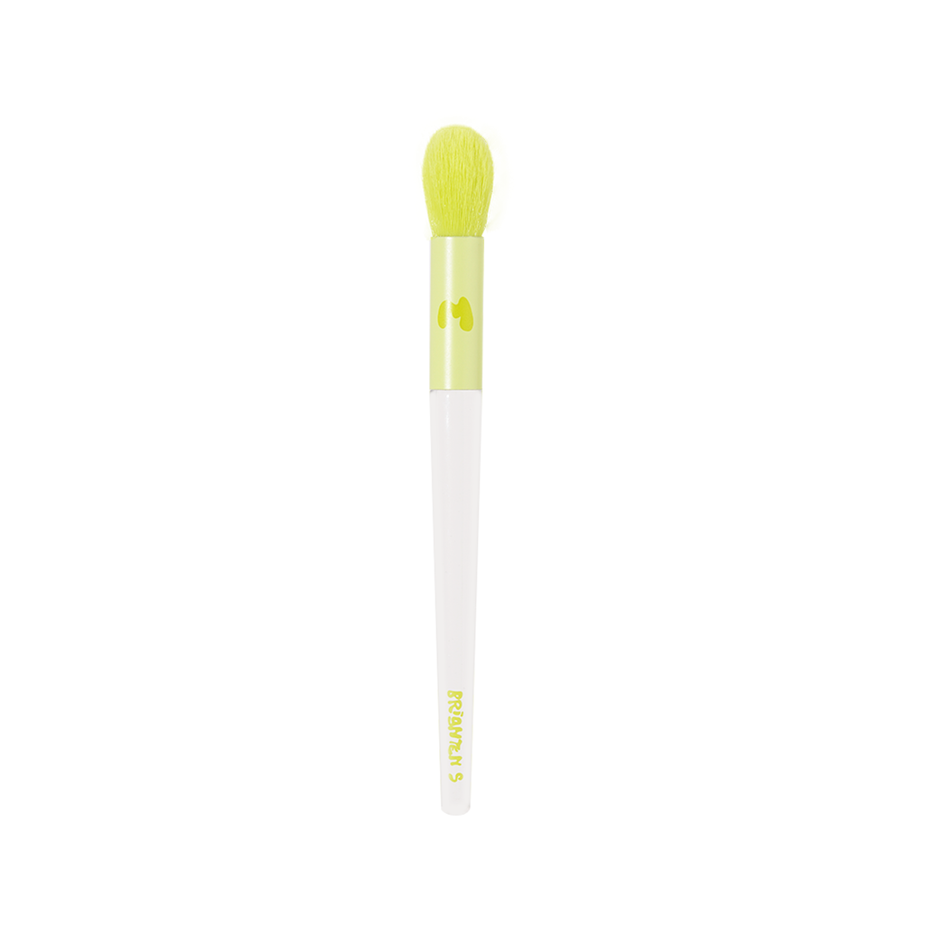 Pro Face & Eye Brush Collection