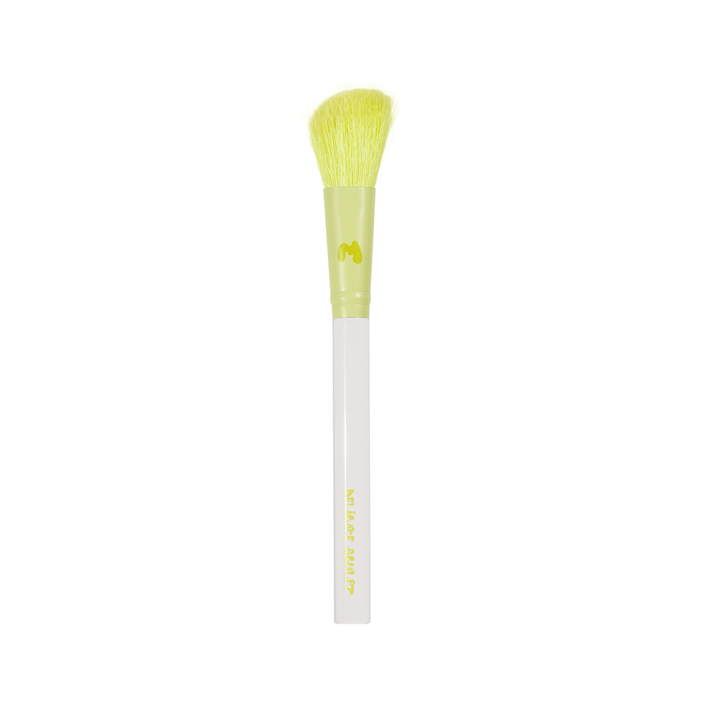 Pro Face & Eye Brush Collection