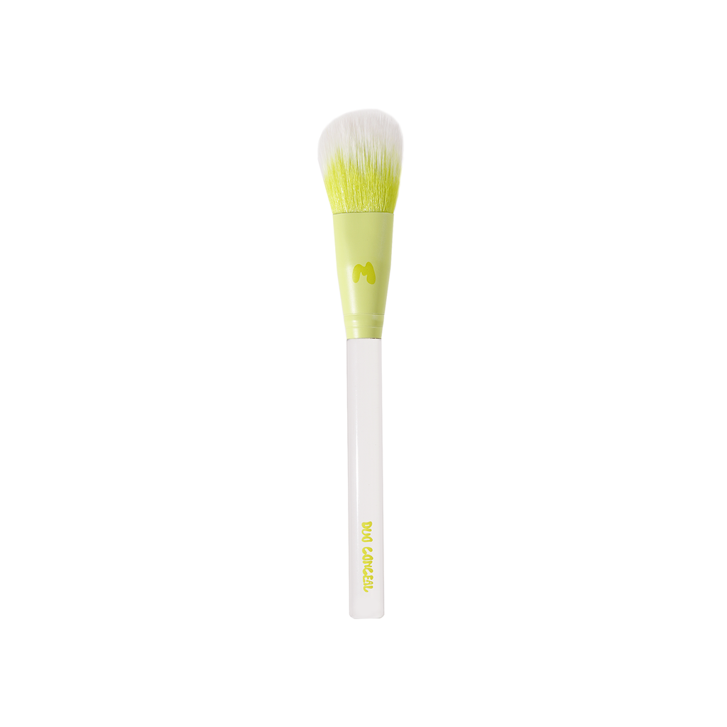 Pro Face & Eye Brush Collection