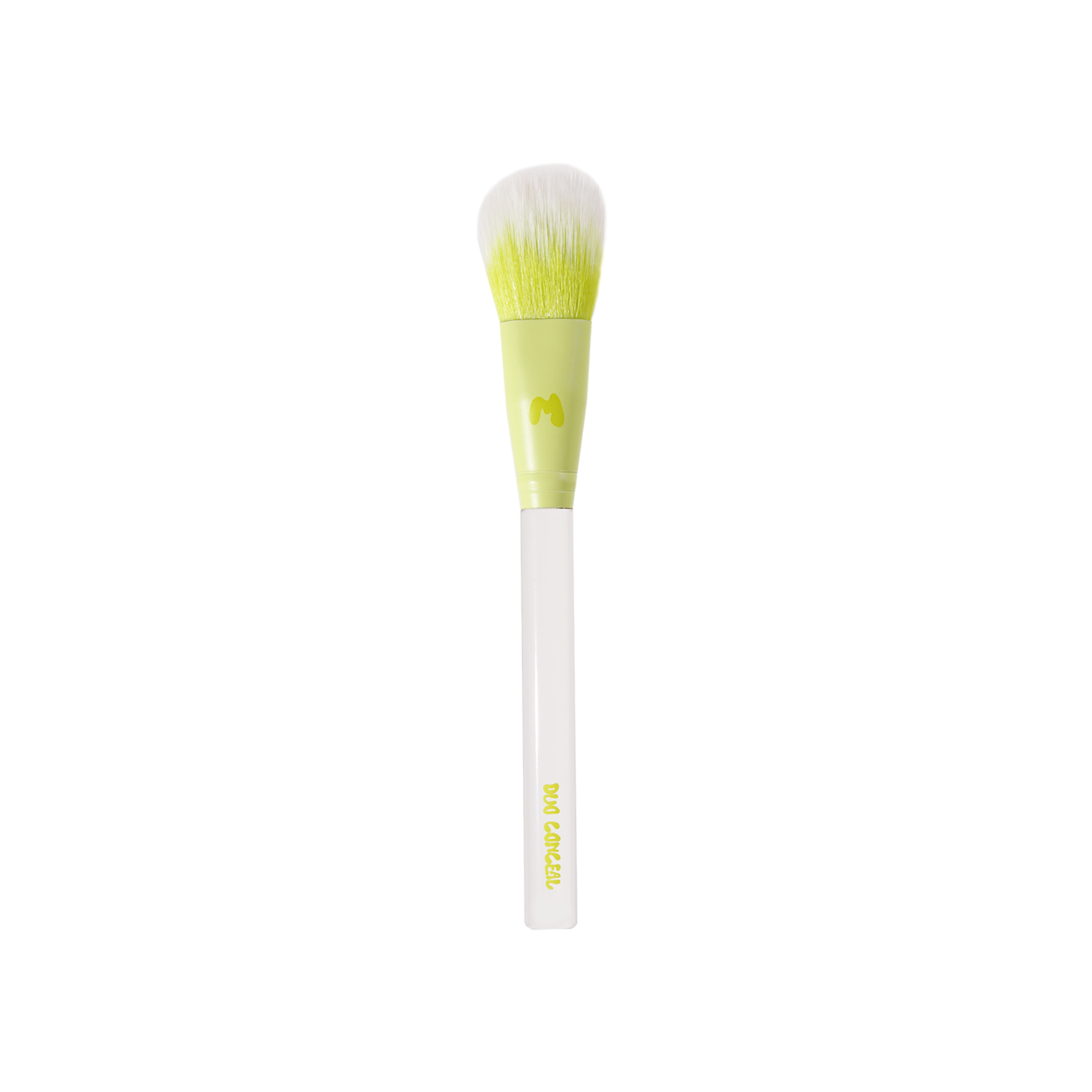 Pro Face & Eye Brush Collection