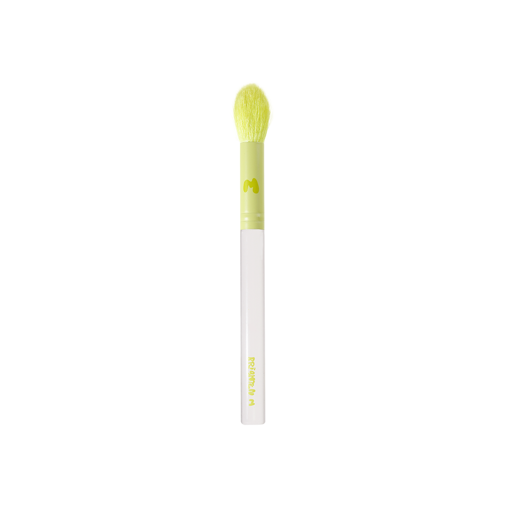 Pro Face & Eye Brush Collection
