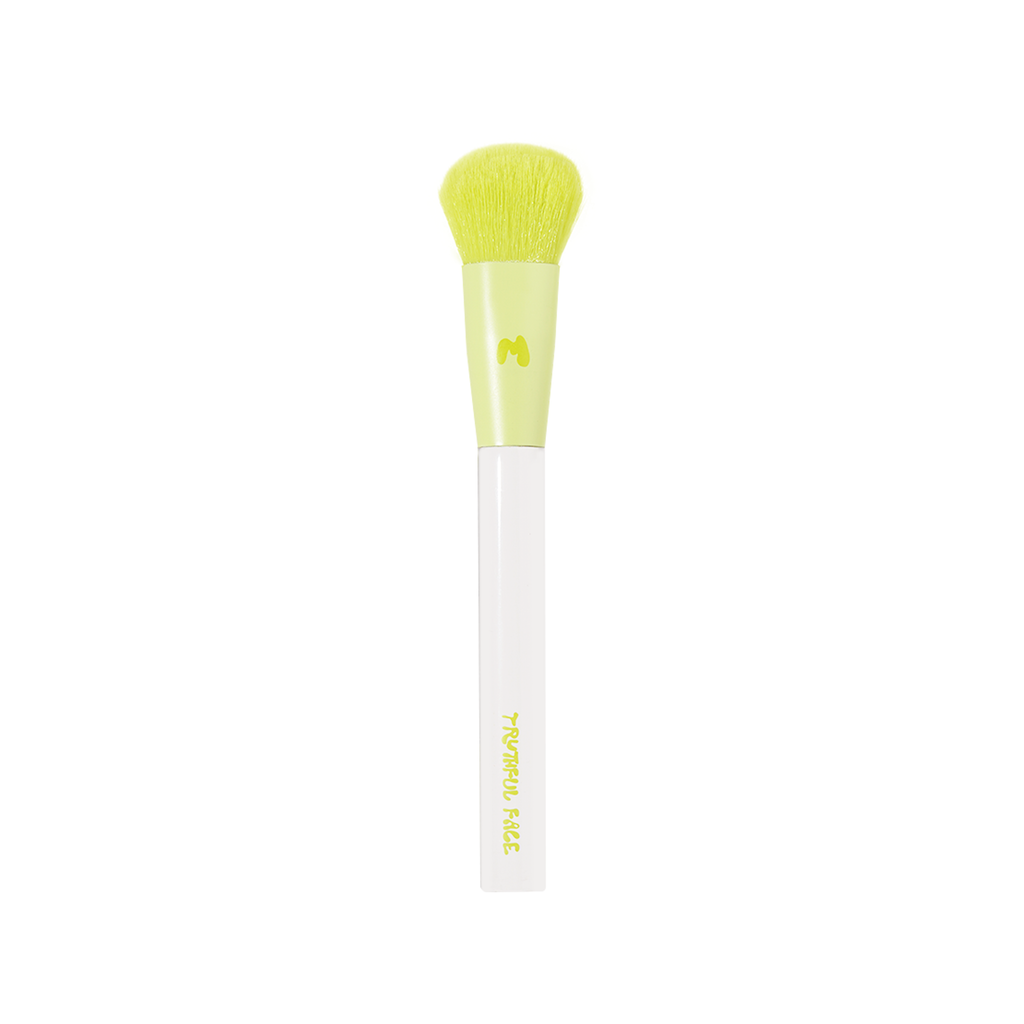 Pro Face & Eye Brush Collection