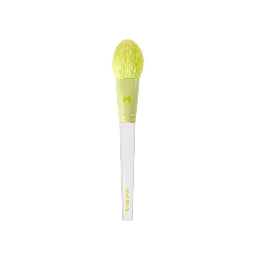 Pro Face & Eye Brush Collection