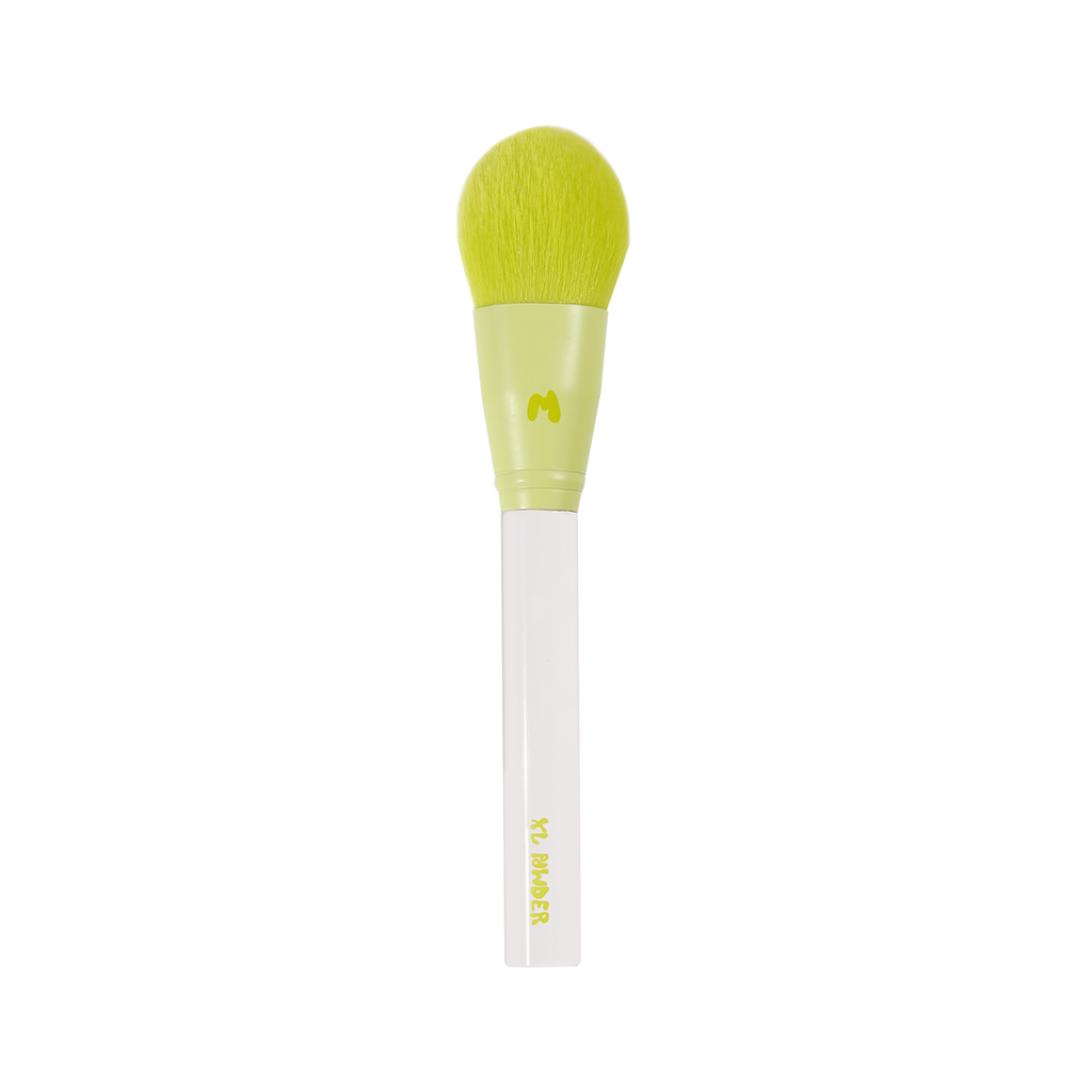 Pro Face & Eye Brush Collection