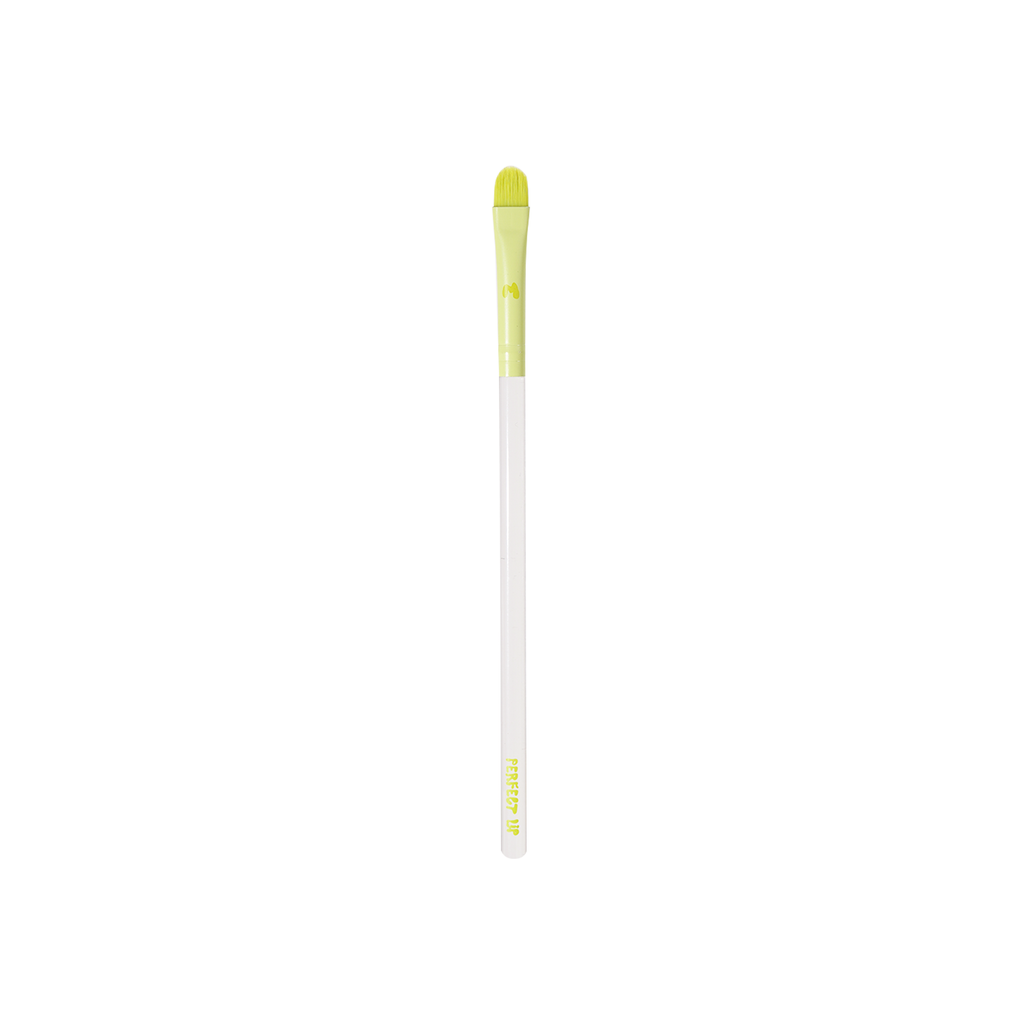 Pro Face & Eye Brush Collection