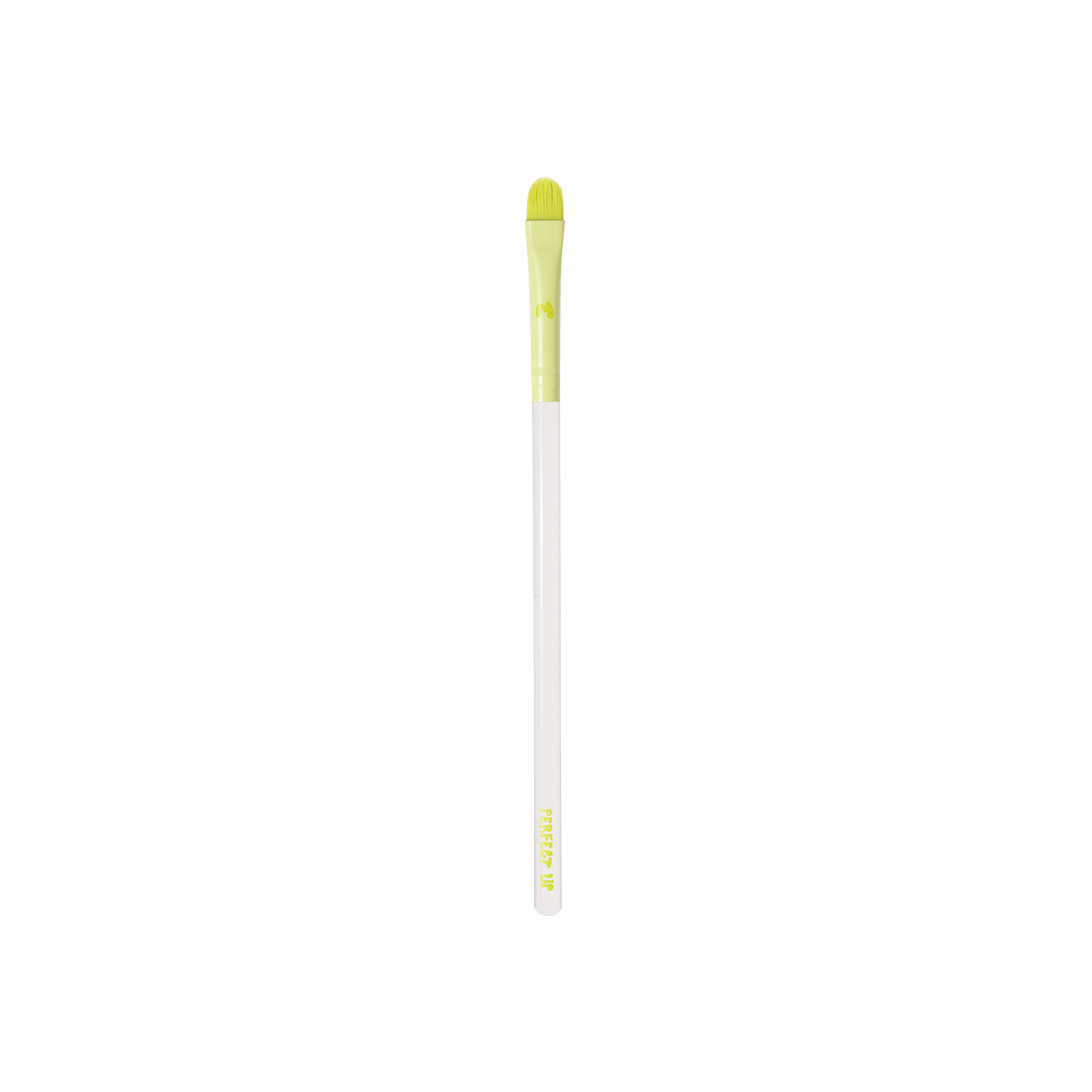 Pro Face & Eye Brush Collection