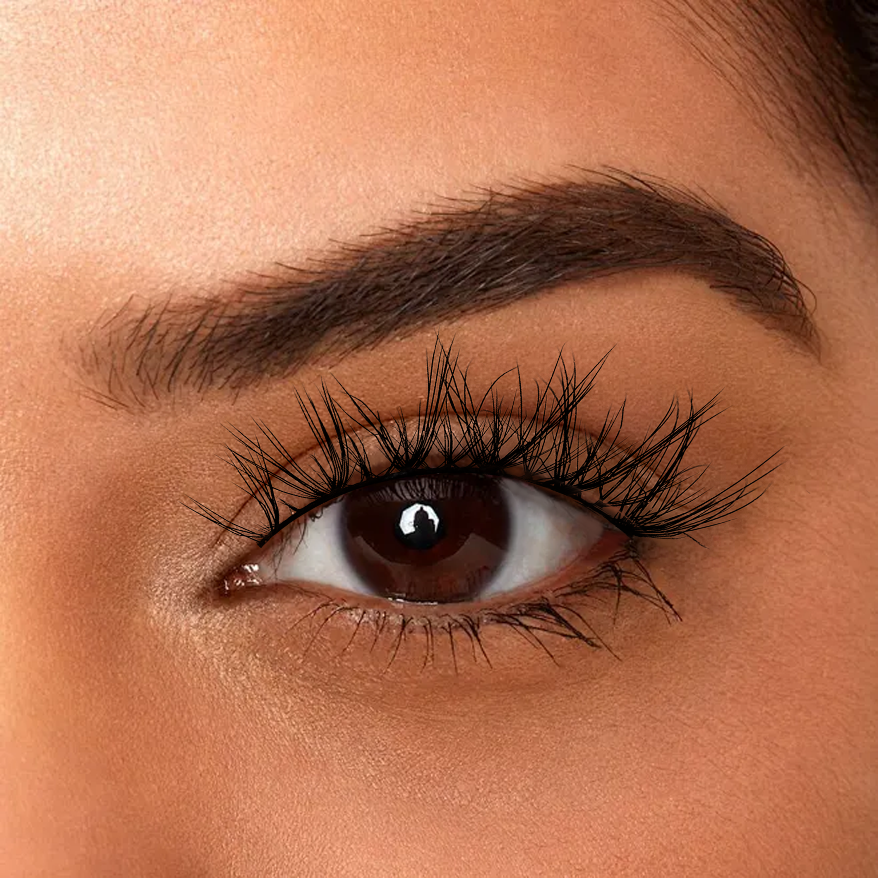 Holligraphic Lashes